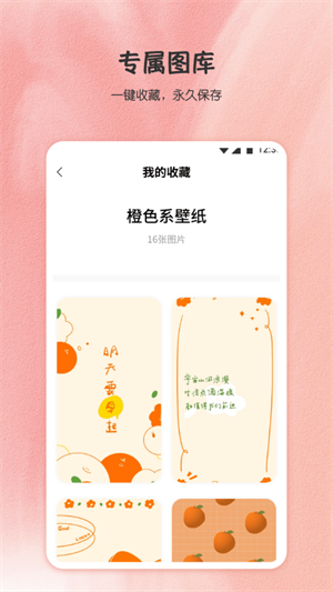 小王壁纸精简版