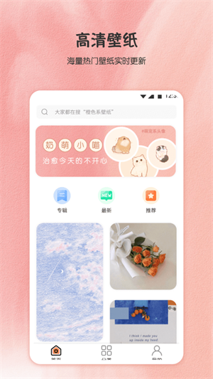 小王壁纸精简版