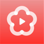 梅花视频精简版
