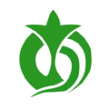 中派网官方版