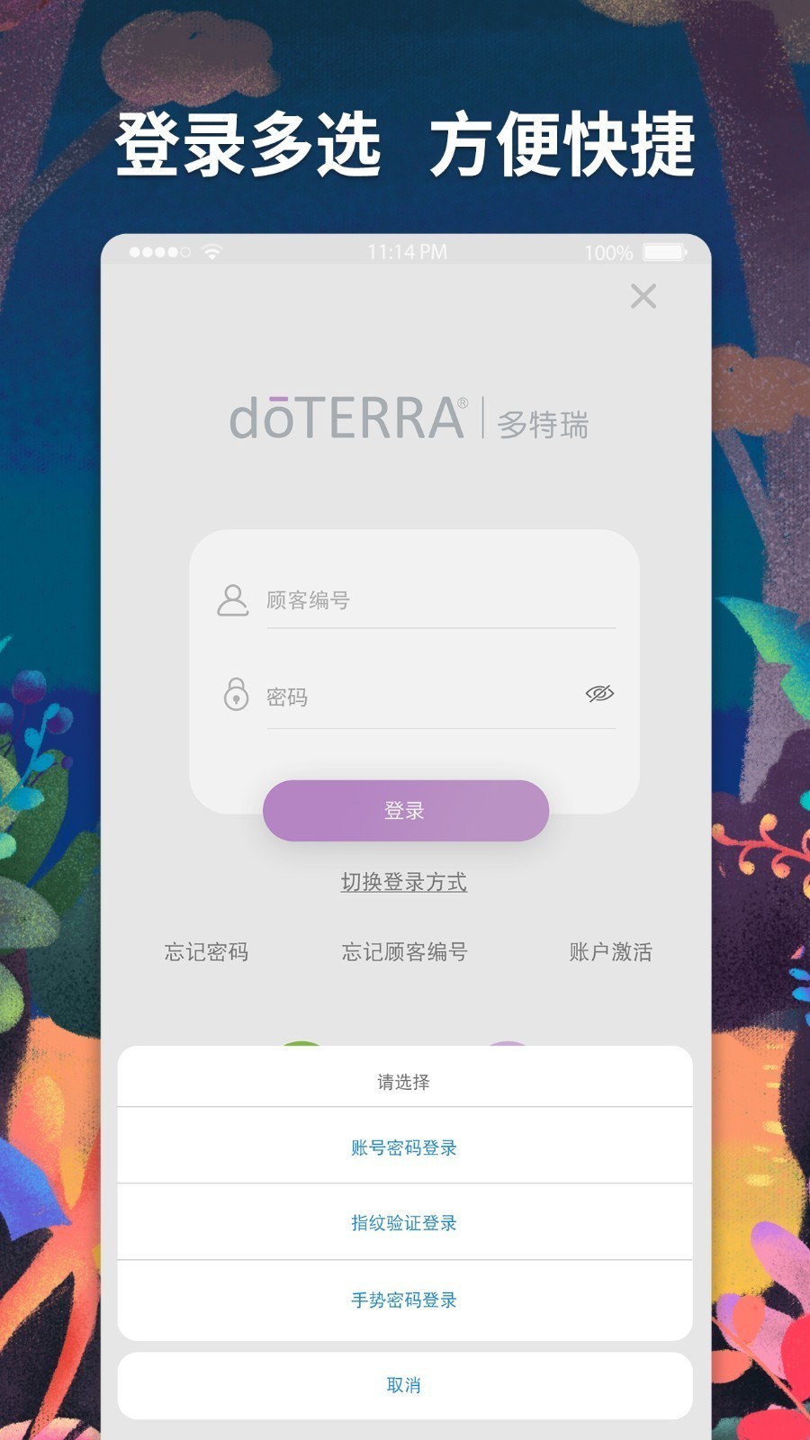 多特瑞免费版