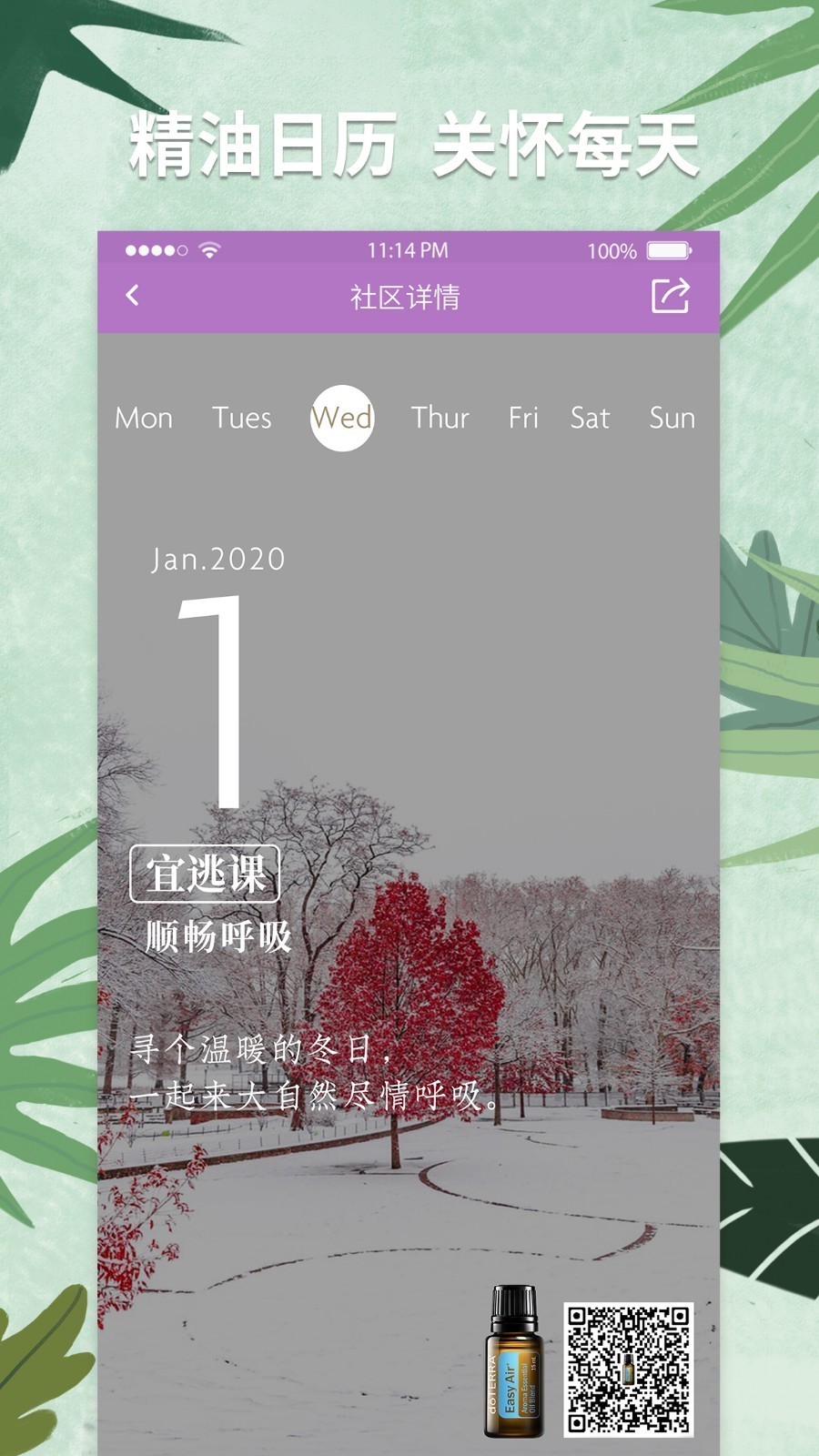 多特瑞免费版