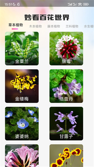 妙看百花